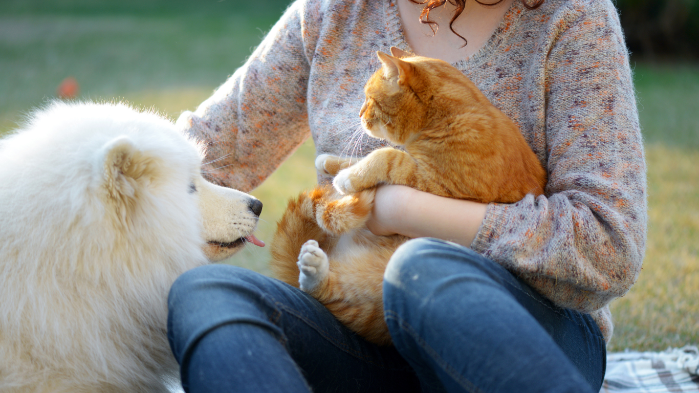 Polizza Animali Domestici