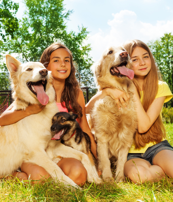 Quanto costa una Polizza Animali Domestici
